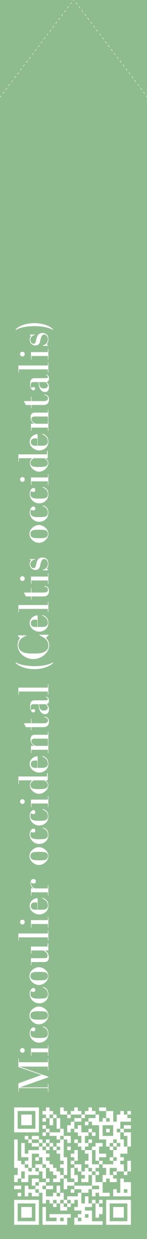 Étiquette de : Celtis occidentalis - format c - style blanche13_simplebod avec qrcode et comestibilité