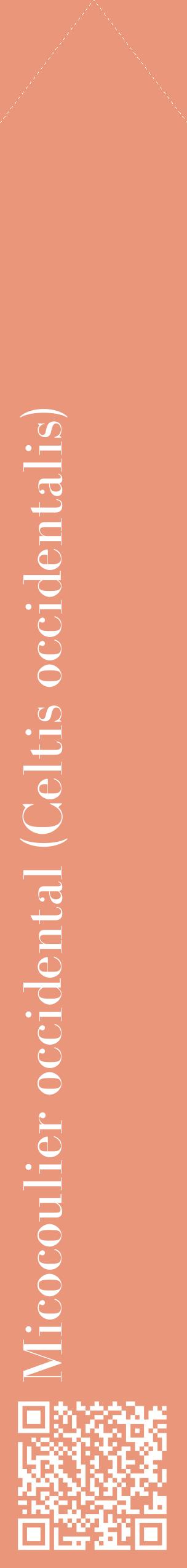 Étiquette de : Celtis occidentalis - format c - style blanche37_simplebod avec qrcode et comestibilité