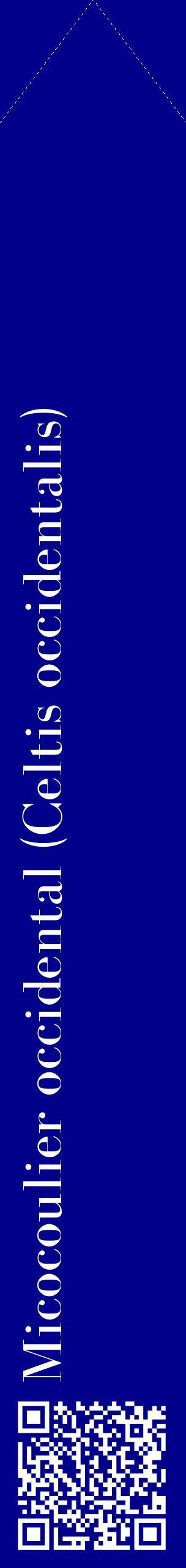 Étiquette de : Celtis occidentalis - format c - style blanche7_simplebod avec qrcode et comestibilité