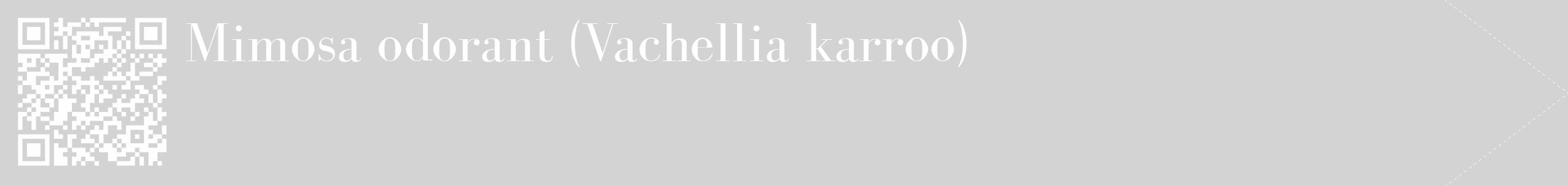 Étiquette de : Vachellia karroo - format c - style blanche56_simple_simplebod avec qrcode et comestibilité