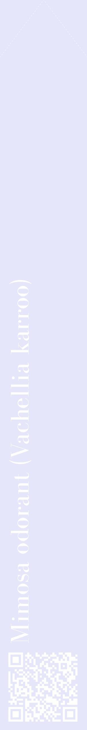 Étiquette de : Vachellia karroo - format c - style blanche55_simplebod avec qrcode et comestibilité