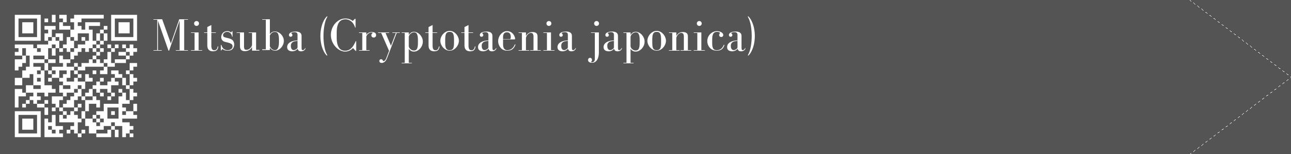 Étiquette de : Cryptotaenia japonica - format c - style blanche30_simple_simplebod avec qrcode et comestibilité