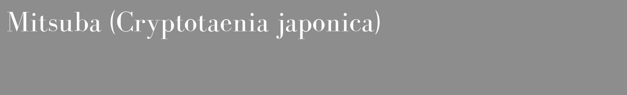 Étiquette de : Cryptotaenia japonica - format c - style blanche2_basique_basiquebod avec comestibilité