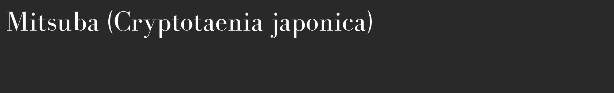 Étiquette de : Cryptotaenia japonica - format c - style blanche34_basique_basiquebod avec comestibilité