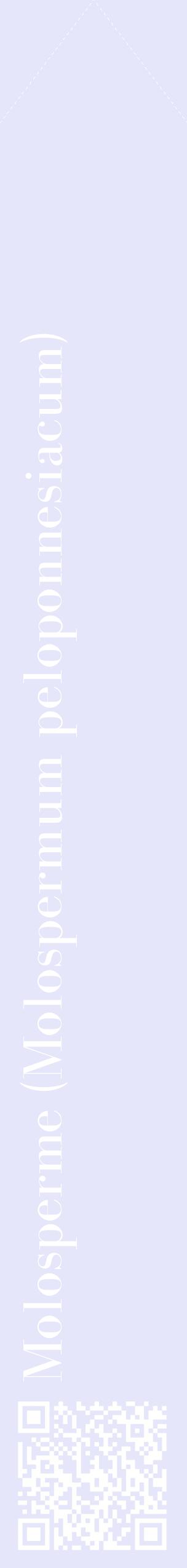 Étiquette de : Molospermum peloponnesiacum - format c - style blanche55_simplebod avec qrcode et comestibilité