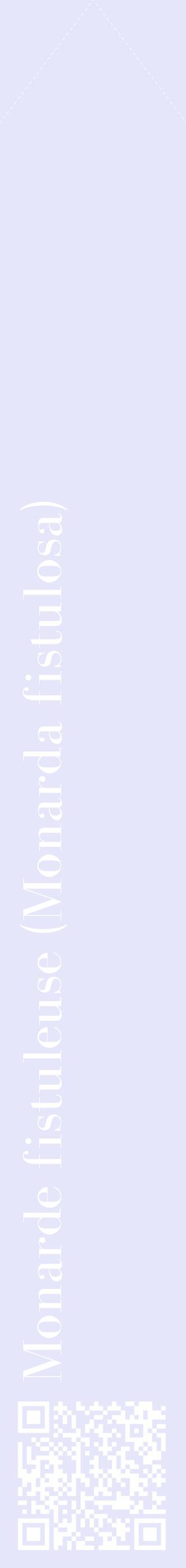 Étiquette de : Monarda fistulosa - format c - style blanche55_simplebod avec qrcode et comestibilité