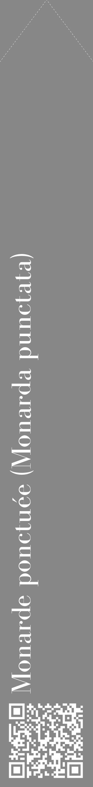 Étiquette de : Monarda punctata - format c - style blanche12_simple_simplebod avec qrcode et comestibilité - position verticale