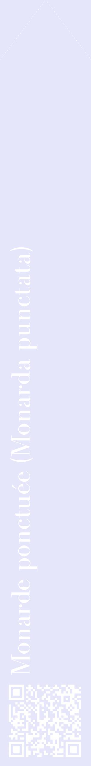 Étiquette de : Monarda punctata - format c - style blanche55_simplebod avec qrcode et comestibilité