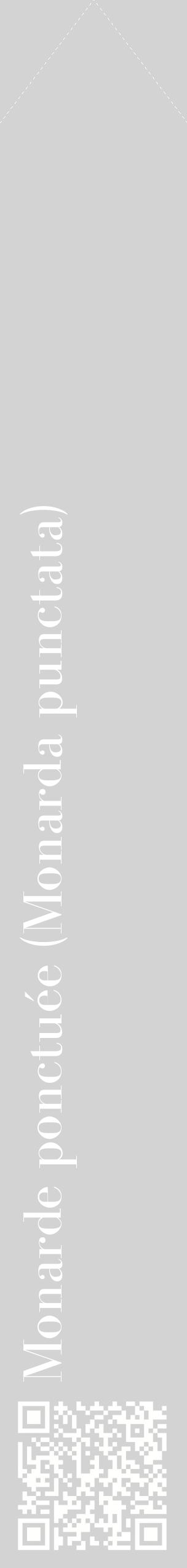 Étiquette de : Monarda punctata - format c - style blanche56_simplebod avec qrcode et comestibilité
