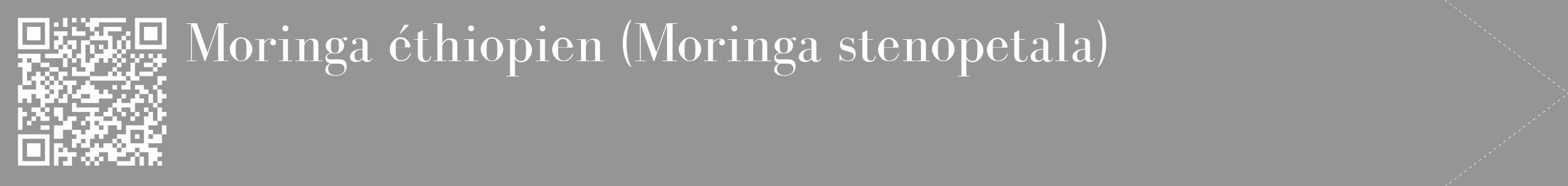 Étiquette de : Moringa stenopetala - format c - style blanche16_simple_simplebod avec qrcode et comestibilité
