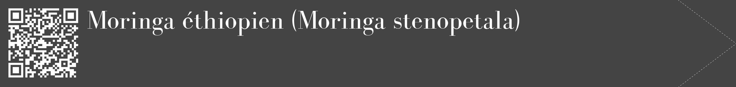 Étiquette de : Moringa stenopetala - format c - style blanche48_simple_simplebod avec qrcode et comestibilité