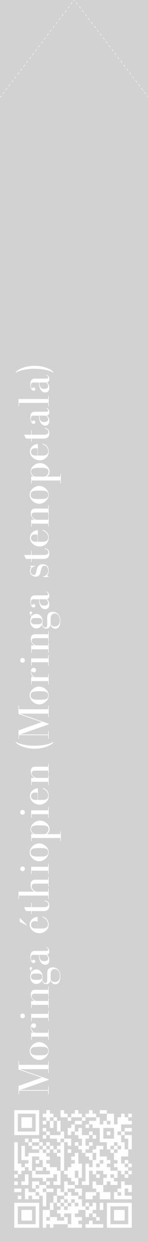 Étiquette de : Moringa stenopetala - format c - style blanche14_simple_simplebod avec qrcode et comestibilité - position verticale