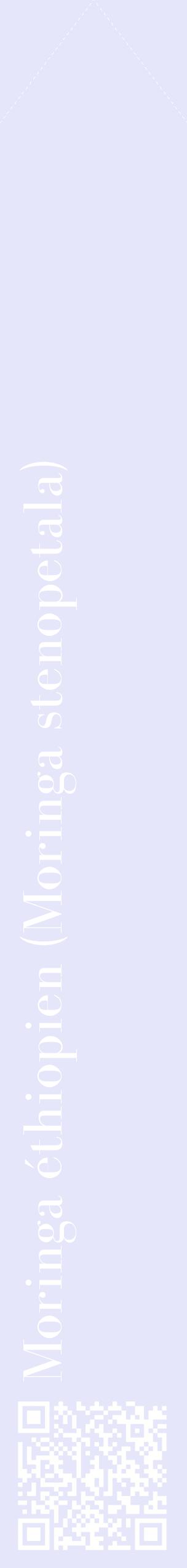 Étiquette de : Moringa stenopetala - format c - style blanche55_simplebod avec qrcode et comestibilité