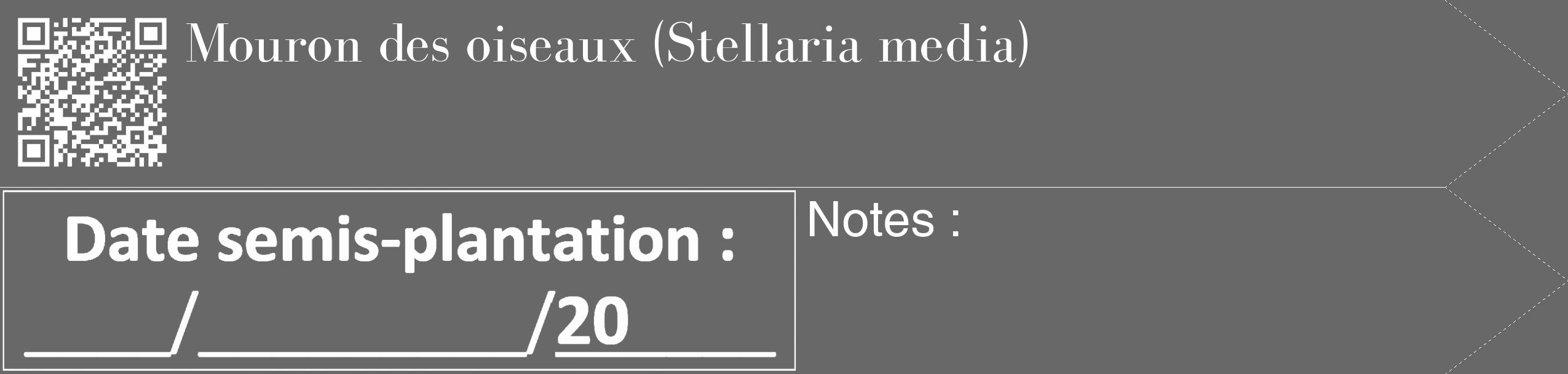 Étiquette de : Stellaria media - format c - style blanche43_simple_simplebod avec qrcode et comestibilité