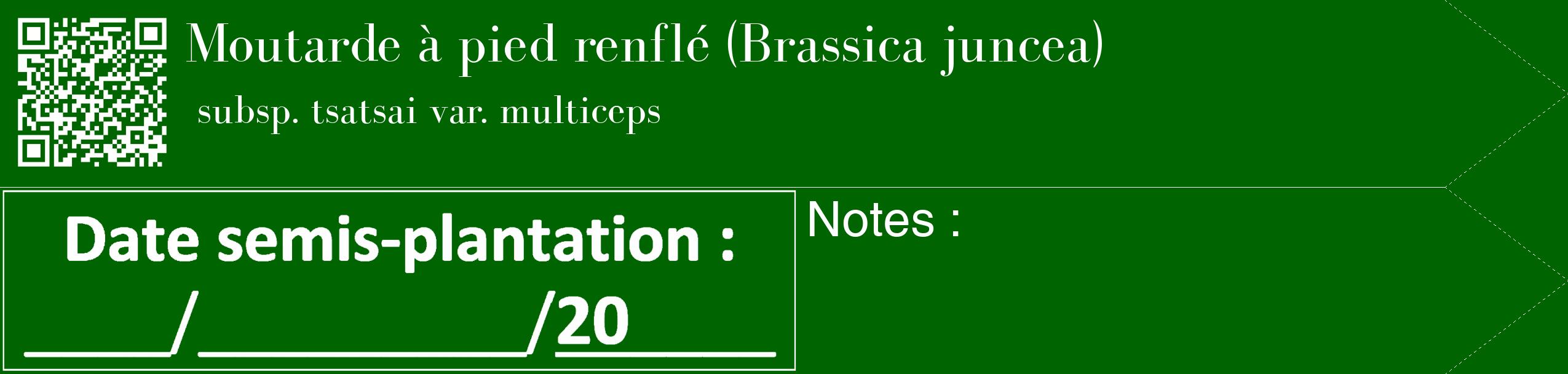Étiquette de : Brassica juncea subsp. tsatsai var. multiceps - format c - style blanche8_simple_simplebod avec qrcode et comestibilité