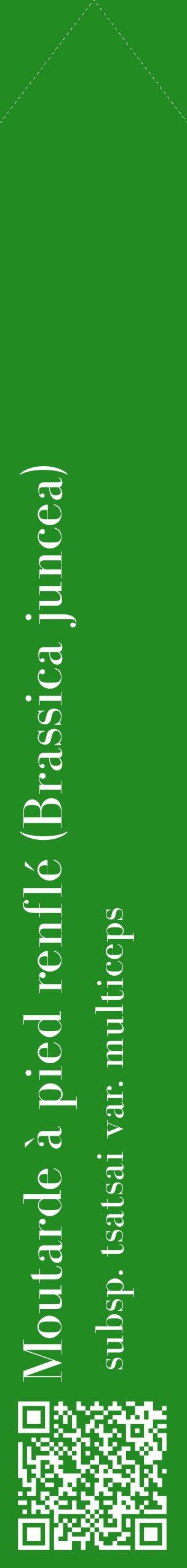 Étiquette de : Brassica juncea subsp. tsatsai var. multiceps - format c - style blanche10_simplebod avec qrcode et comestibilité