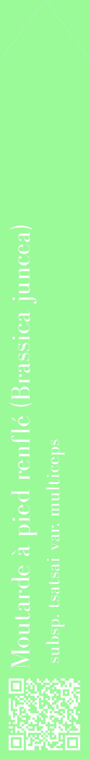 Étiquette de : Brassica juncea subsp. tsatsai var. multiceps - format c - style blanche14_simplebod avec qrcode et comestibilité