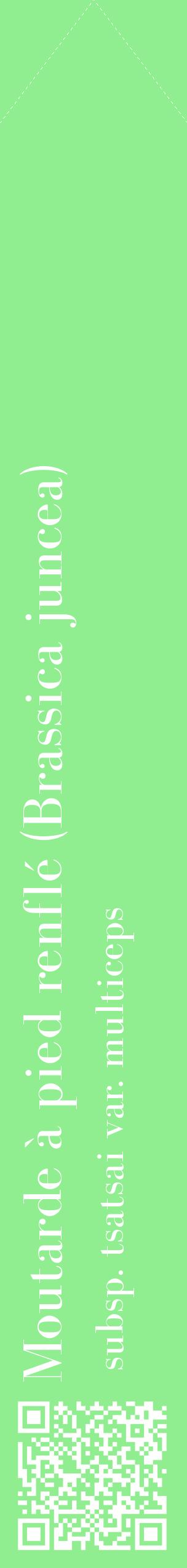 Étiquette de : Brassica juncea subsp. tsatsai var. multiceps - format c - style blanche15_simplebod avec qrcode et comestibilité
