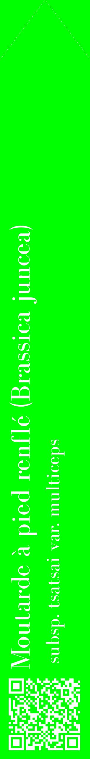 Étiquette de : Brassica juncea subsp. tsatsai var. multiceps - format c - style blanche16_simplebod avec qrcode et comestibilité