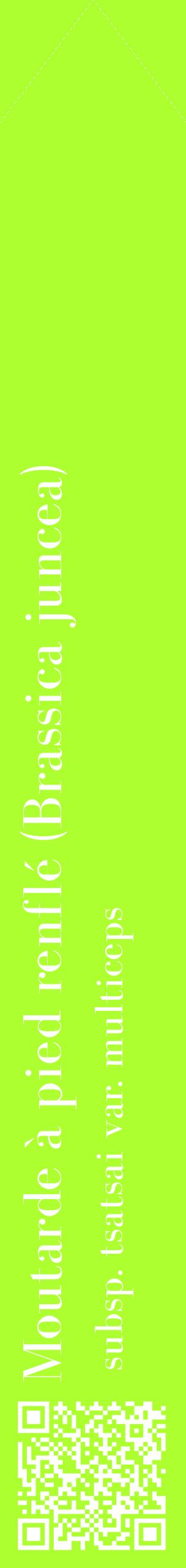 Étiquette de : Brassica juncea subsp. tsatsai var. multiceps - format c - style blanche17_simplebod avec qrcode et comestibilité