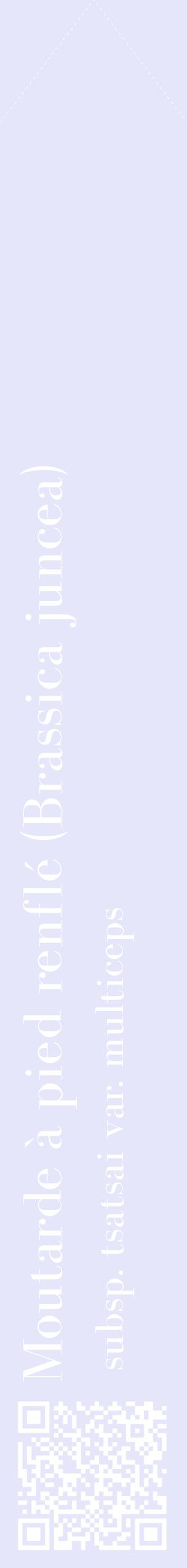 Étiquette de : Brassica juncea subsp. tsatsai var. multiceps - format c - style blanche55_simplebod avec qrcode et comestibilité