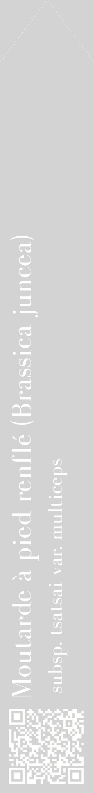 Étiquette de : Brassica juncea subsp. tsatsai var. multiceps - format c - style blanche56_simplebod avec qrcode et comestibilité