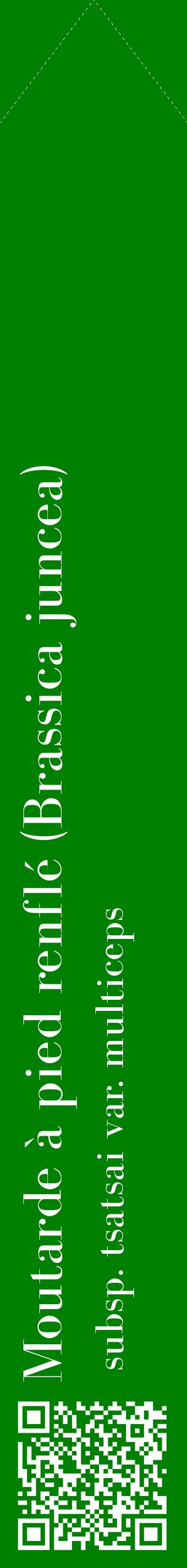Étiquette de : Brassica juncea subsp. tsatsai var. multiceps - format c - style blanche9_simplebod avec qrcode et comestibilité