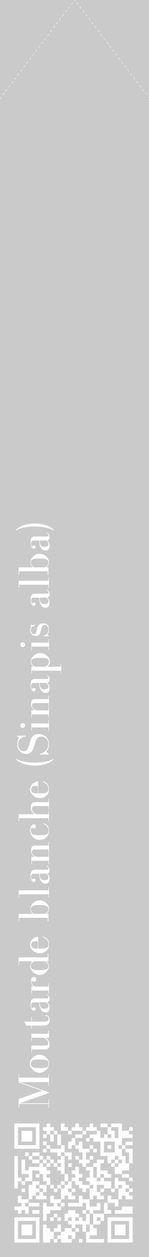 Étiquette de : Sinapis alba - format c - style blanche21_simple_simplebod avec qrcode et comestibilité - position verticale