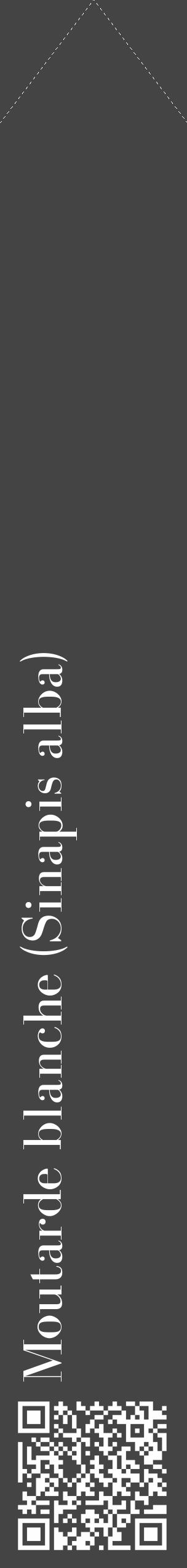Étiquette de : Sinapis alba - format c - style blanche48_simple_simplebod avec qrcode et comestibilité - position verticale