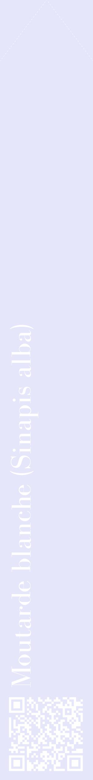 Étiquette de : Sinapis alba - format c - style blanche55_simplebod avec qrcode et comestibilité