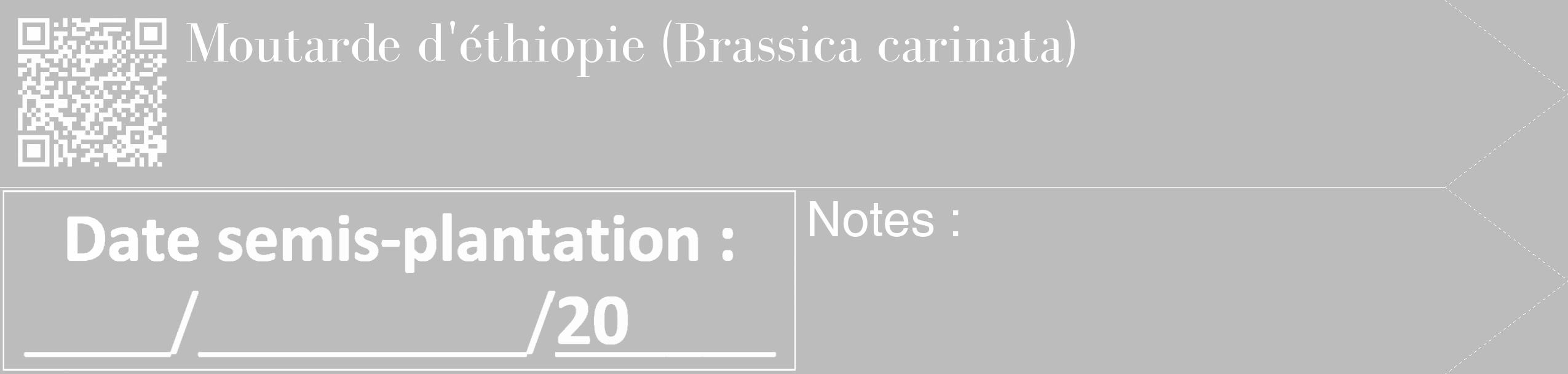 Étiquette de : Brassica carinata - format c - style blanche1_simple_simplebod avec qrcode et comestibilité