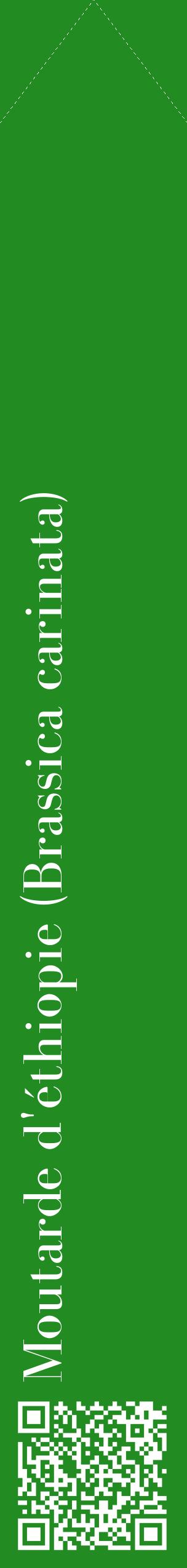 Étiquette de : Brassica carinata - format c - style blanche10_simplebod avec qrcode et comestibilité