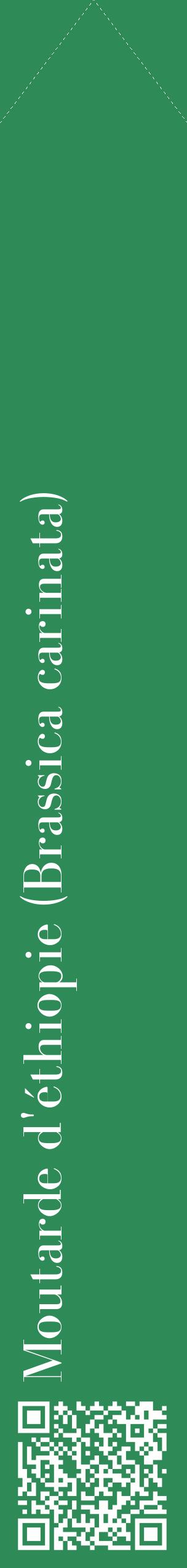 Étiquette de : Brassica carinata - format c - style blanche11_simplebod avec qrcode et comestibilité