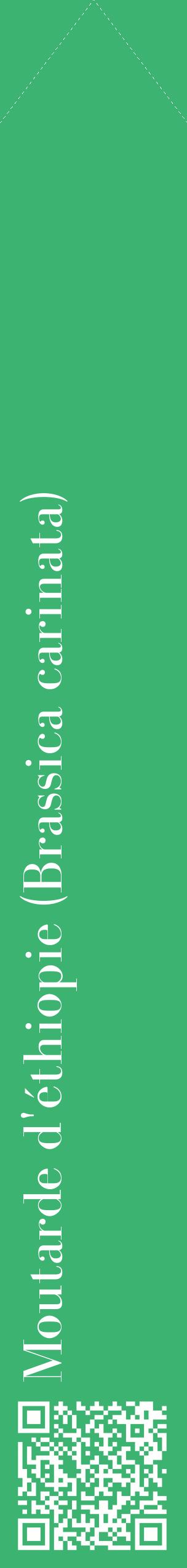 Étiquette de : Brassica carinata - format c - style blanche12_simplebod avec qrcode et comestibilité