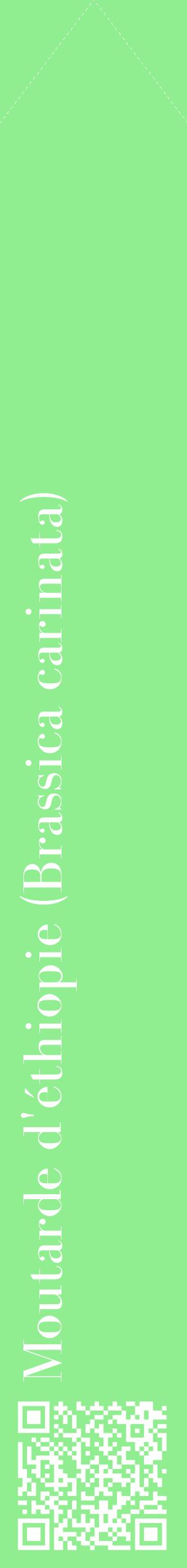 Étiquette de : Brassica carinata - format c - style blanche15_simplebod avec qrcode et comestibilité