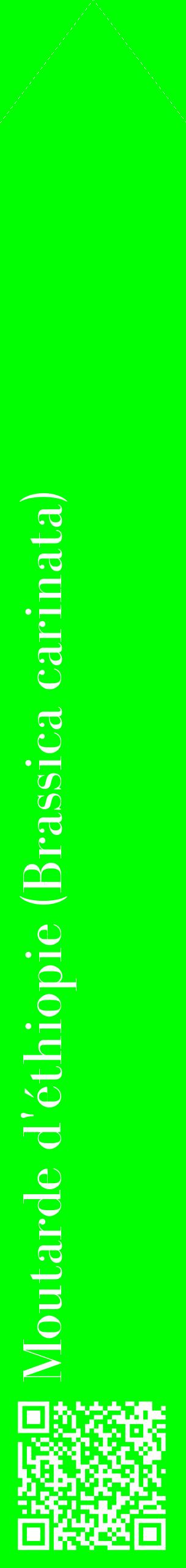 Étiquette de : Brassica carinata - format c - style blanche16_simplebod avec qrcode et comestibilité
