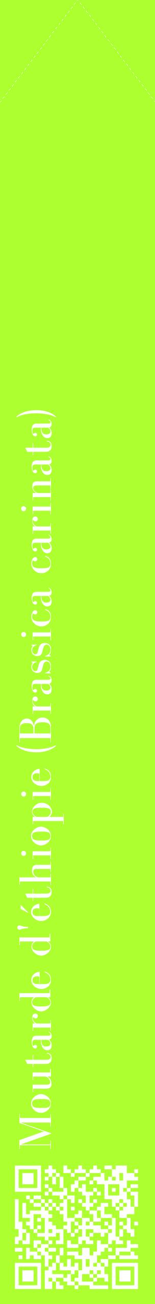 Étiquette de : Brassica carinata - format c - style blanche17_simplebod avec qrcode et comestibilité