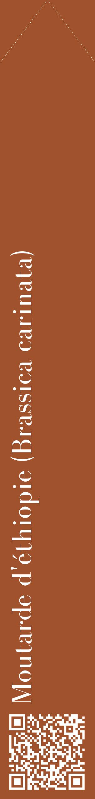Étiquette de : Brassica carinata - format c - style blanche32_simplebod avec qrcode et comestibilité