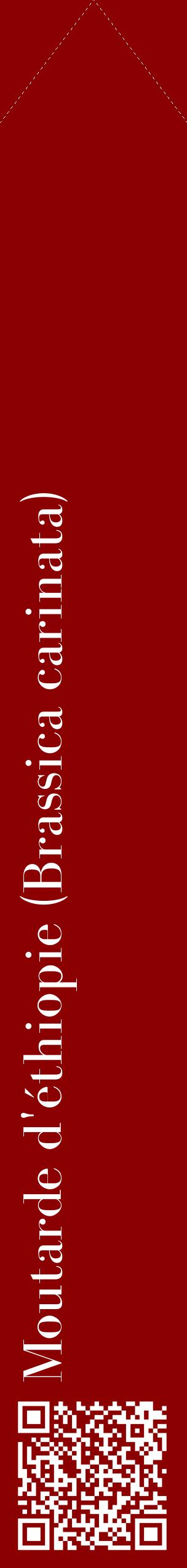 Étiquette de : Brassica carinata - format c - style blanche34_simplebod avec qrcode et comestibilité