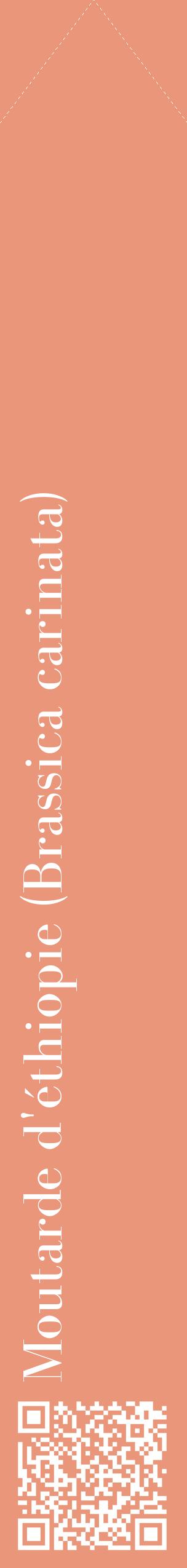 Étiquette de : Brassica carinata - format c - style blanche37_simplebod avec qrcode et comestibilité