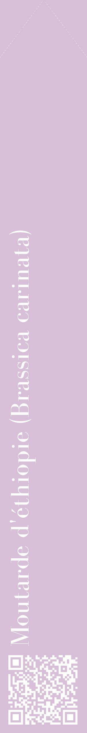 Étiquette de : Brassica carinata - format c - style blanche54_simplebod avec qrcode et comestibilité