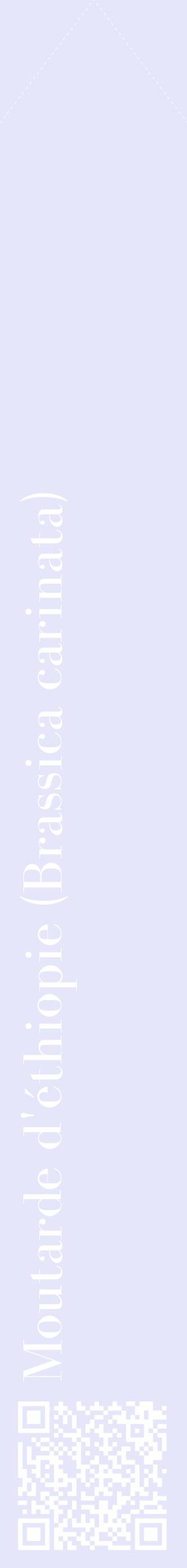 Étiquette de : Brassica carinata - format c - style blanche55_simplebod avec qrcode et comestibilité