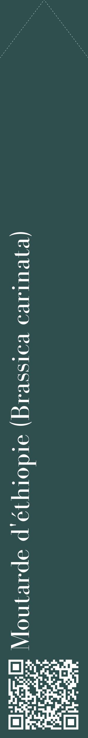 Étiquette de : Brassica carinata - format c - style blanche58_simplebod avec qrcode et comestibilité
