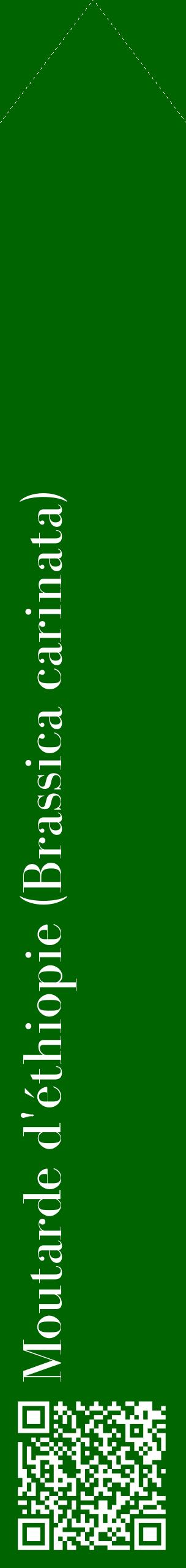 Étiquette de : Brassica carinata - format c - style blanche8_simplebod avec qrcode et comestibilité