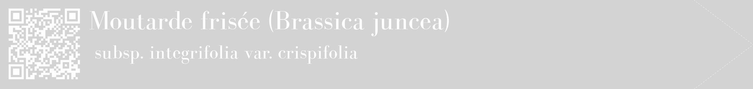 Étiquette de : Brassica juncea subsp. integrifolia var. crispifolia - format c - style blanche56_simple_simplebod avec qrcode et comestibilité