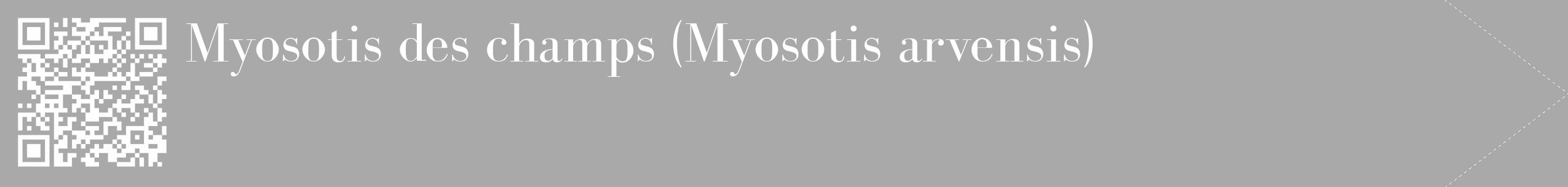 Étiquette de : Myosotis arvensis - format c - style blanche13_simple_simplebod avec qrcode et comestibilité