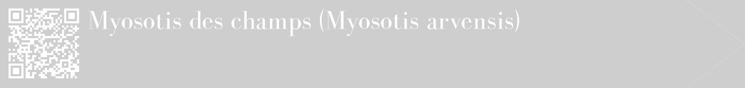 Étiquette de : Myosotis arvensis - format c - style blanche17_simple_simplebod avec qrcode et comestibilité