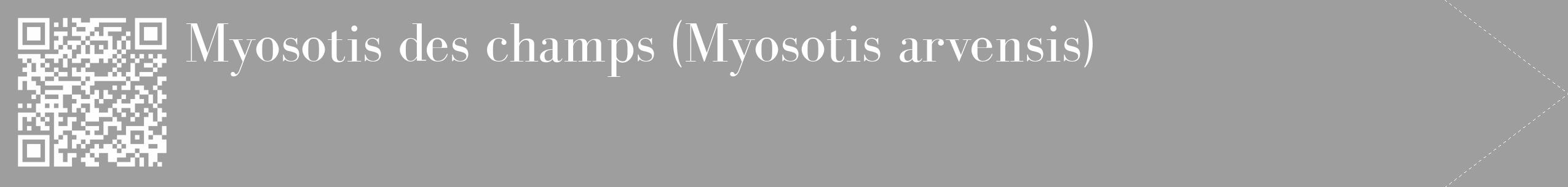 Étiquette de : Myosotis arvensis - format c - style blanche42_simple_simplebod avec qrcode et comestibilité