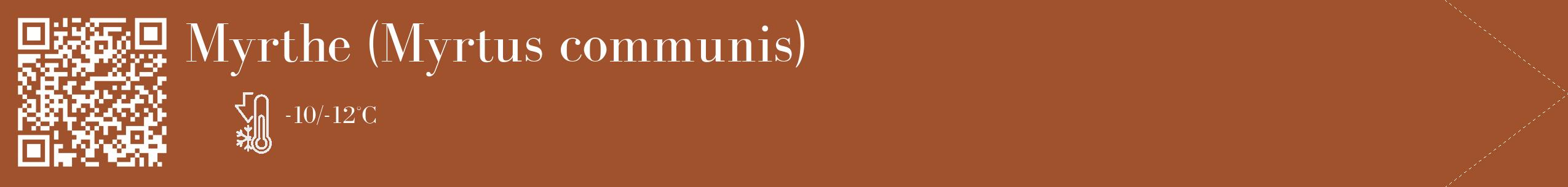 Étiquette de : Myrtus communis - format c - style blanche32_simple_simplebod avec qrcode et comestibilité