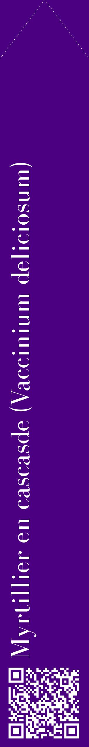 Étiquette de : Vaccinium deliciosum - format c - style blanche47_simplebod avec qrcode et comestibilité